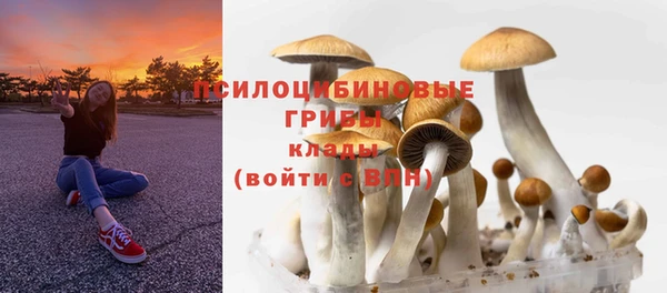 прущие крисы Медвежьегорск