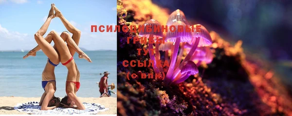 прущие крисы Медвежьегорск