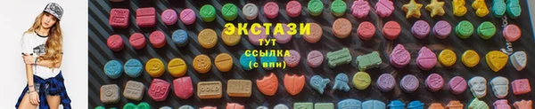 прущие грибы Апатиты