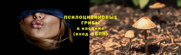гашик Медногорск