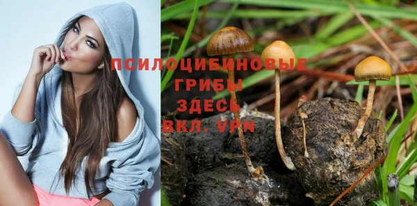 прущие крисы Медвежьегорск