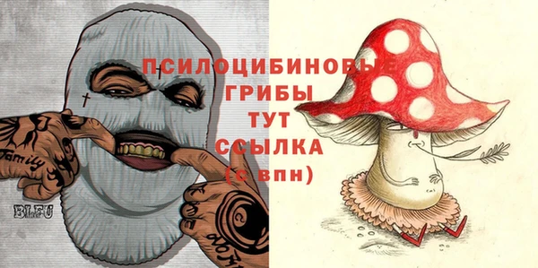 гашик Медногорск