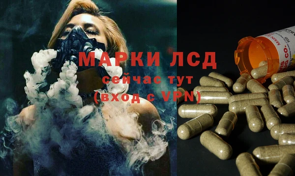 гашик Медногорск