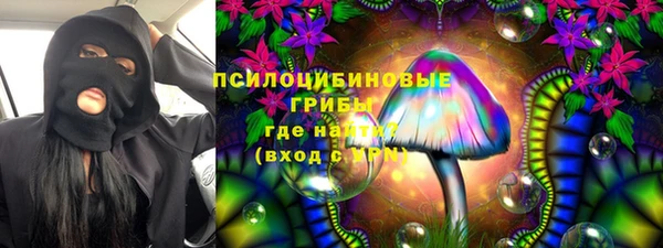 гашик Медногорск