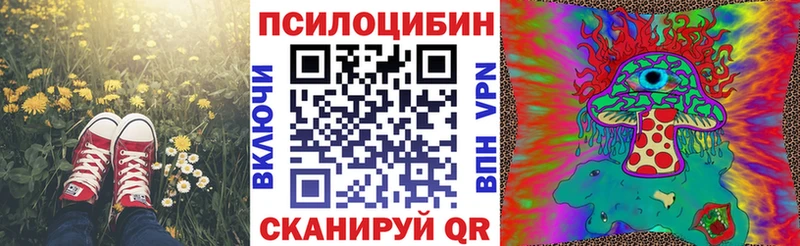 Галлюциногенные грибы Cubensis  Заозёрск 